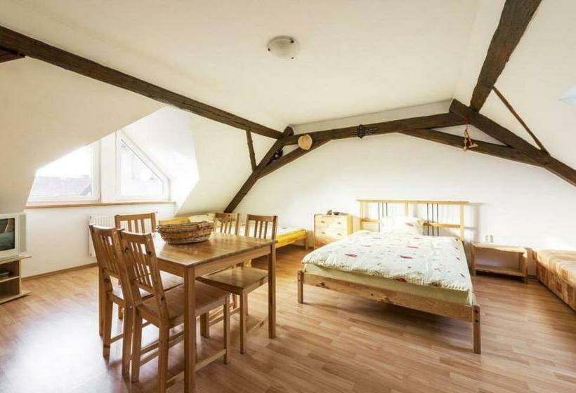 펜션 Penzion U Zámeckého Parku