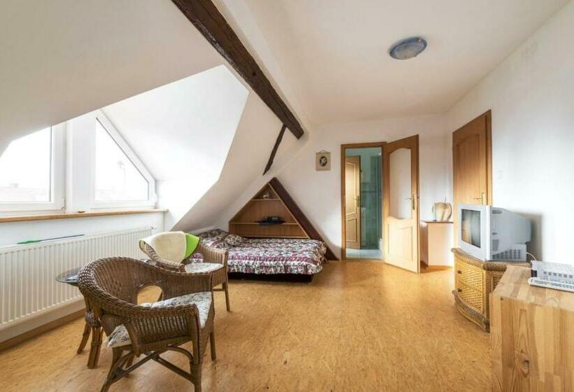 펜션 Penzion U Zámeckého Parku