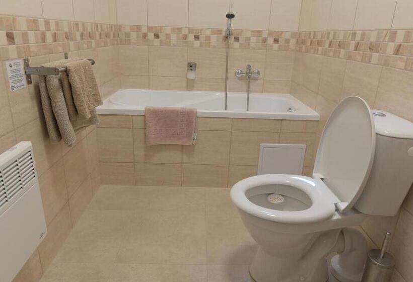 פנסיון Penzion švýcarský Dům