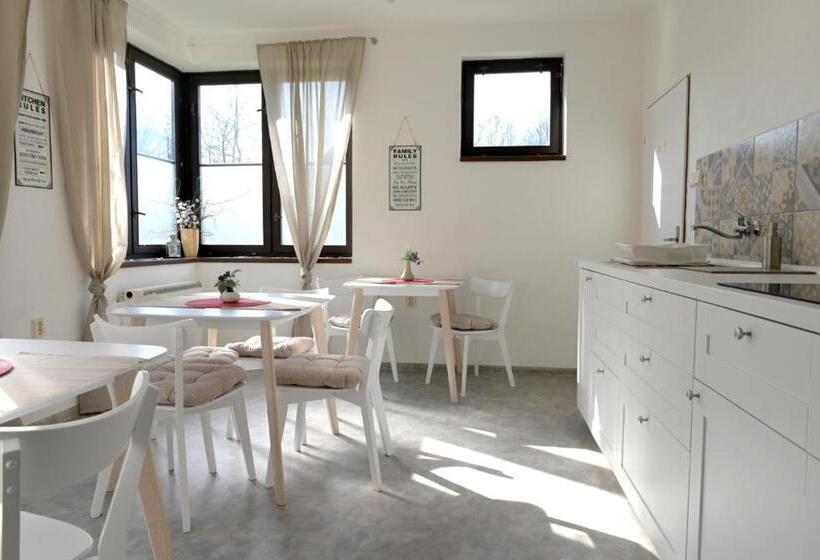 פנסיון Penzion švýcarský Dům