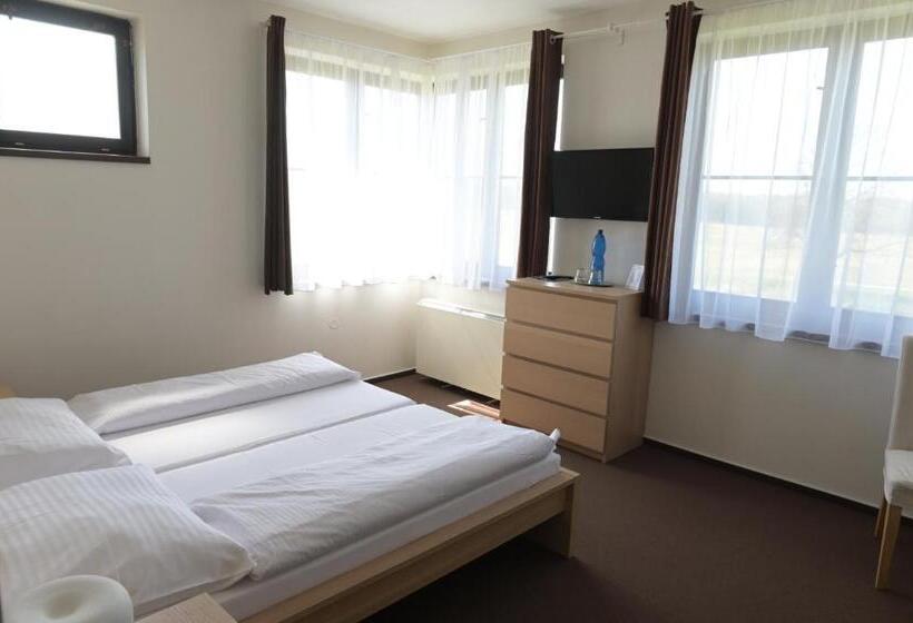 פנסיון Penzion švýcarský Dům