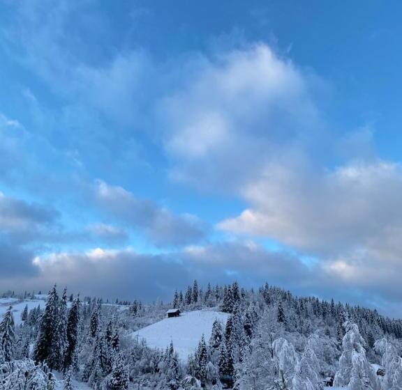 펜션 Plavianska Sadyba