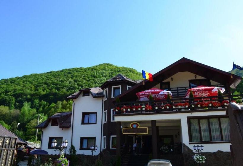 פנסיון Portile Ocnei