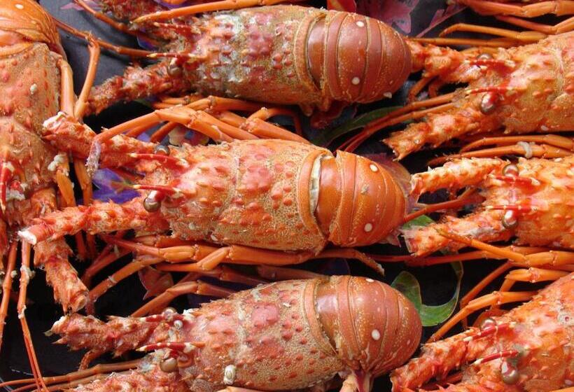 펜션 Pousada Barra Do Mundaú