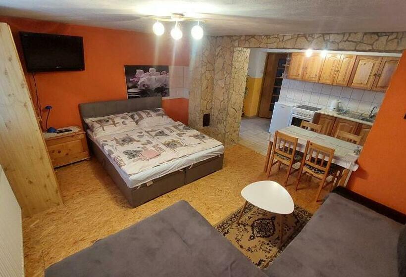 פנסיון Privat 498