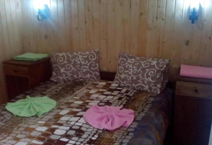 Pensjonat санаторий синяк гостиный двор пролисок