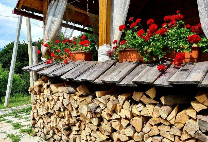 Пансион Rakhiv Plai