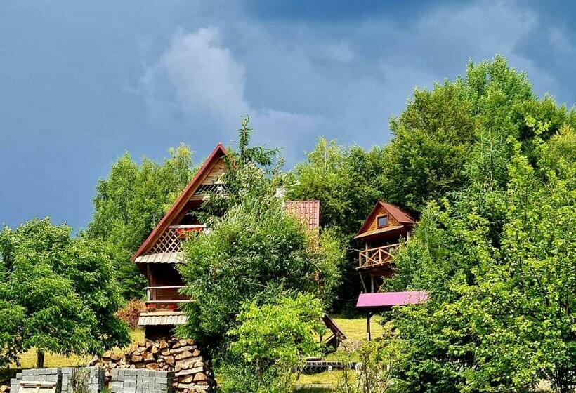 Пансион Rakhiv Plai