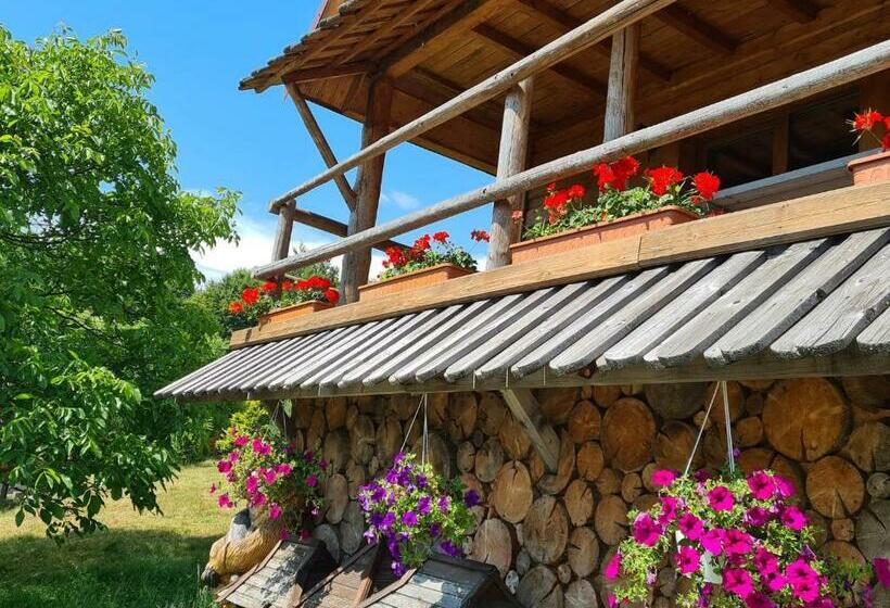 Пансион Rakhiv Plai