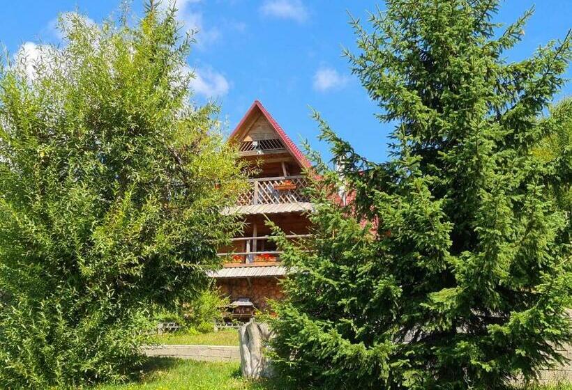 Пансион Rakhiv Plai