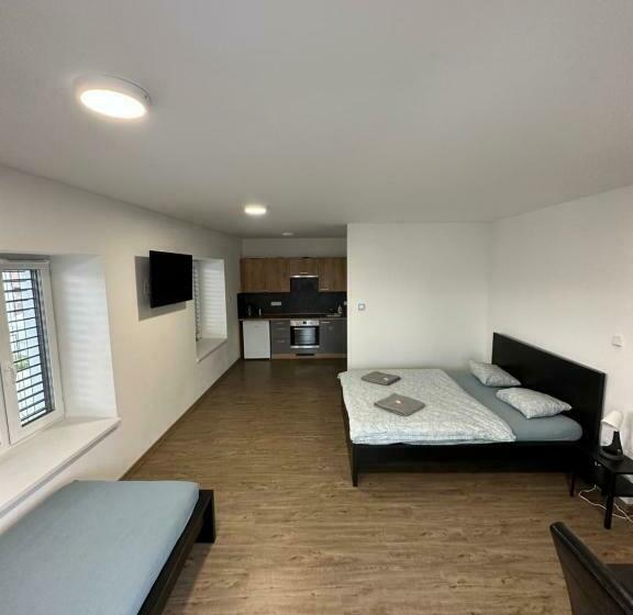 ペンション Restaurace   Penzion Bavorský Dvůr