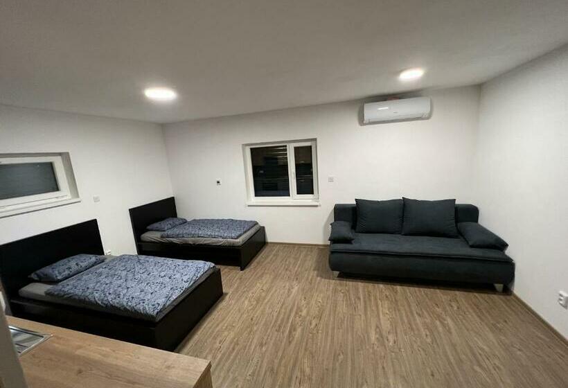 ペンション Restaurace   Penzion Bavorský Dvůr