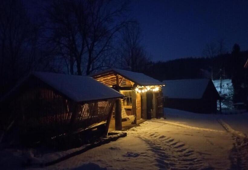 פנסיון Sadyba Sunny House