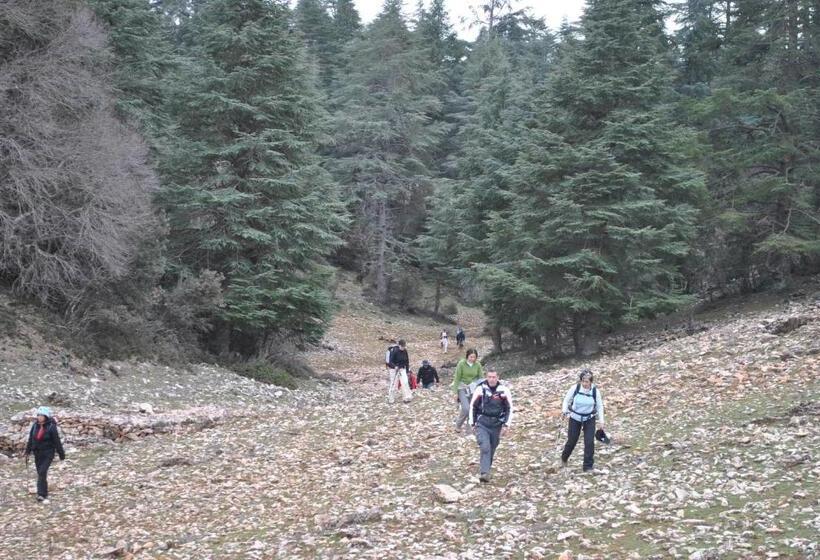 پانسیون Tamanoucht