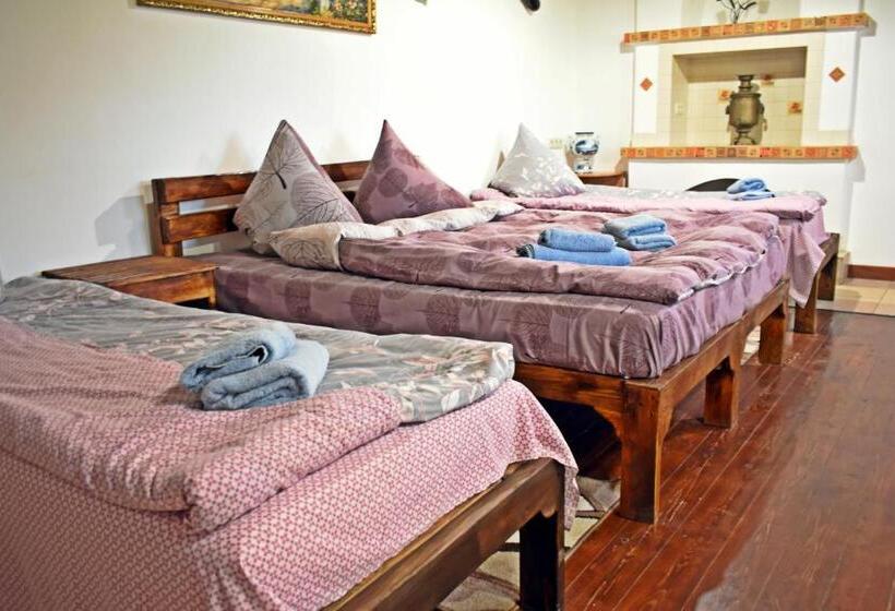 بنسيون Vesela Sadyba