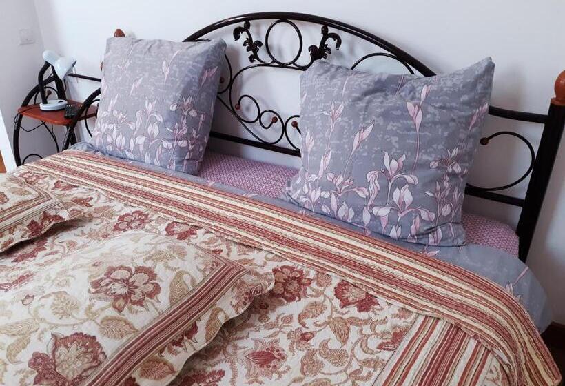 بنسيون Vesela Sadyba