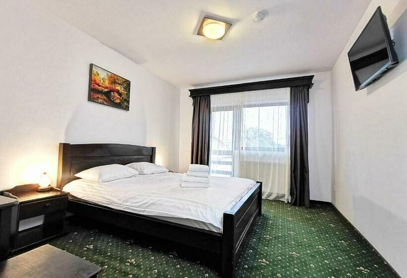 펜션 Vila Hora Cu Brazi