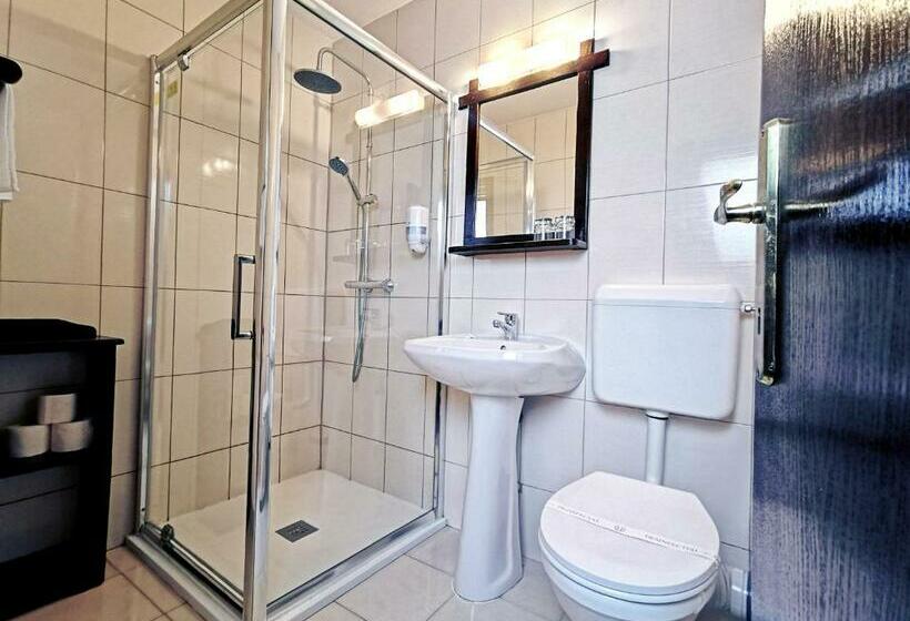 펜션 Vila Hora Cu Brazi