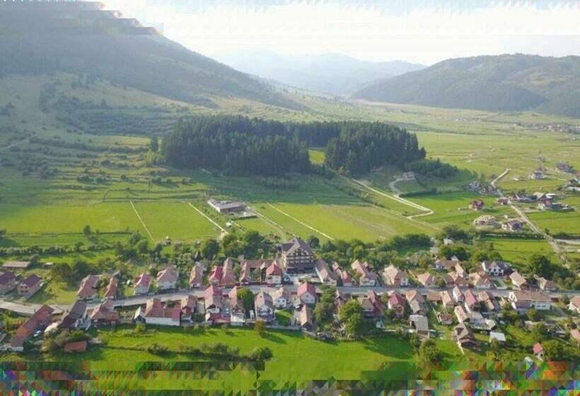 펜션 Vila Hora Cu Brazi