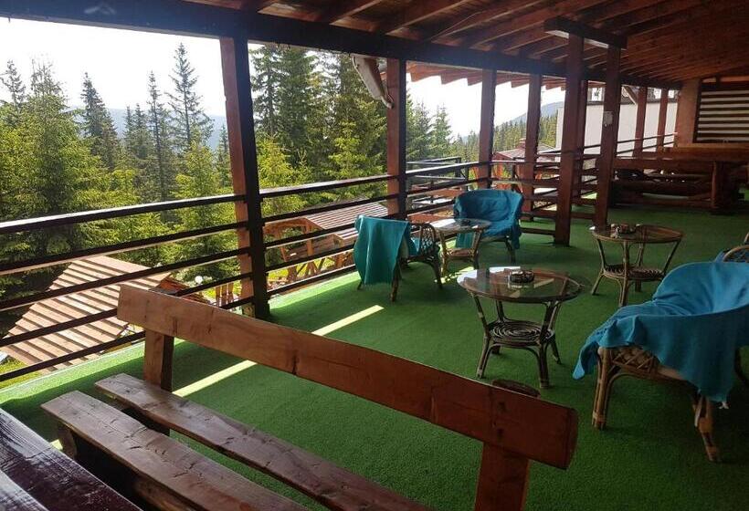 Пансион Vila Ozon