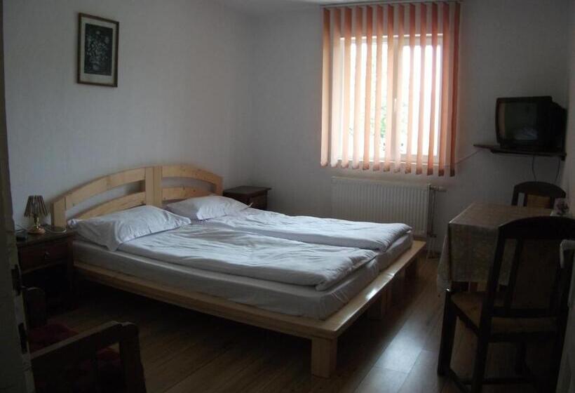 Пансион Vila Sport Borsec