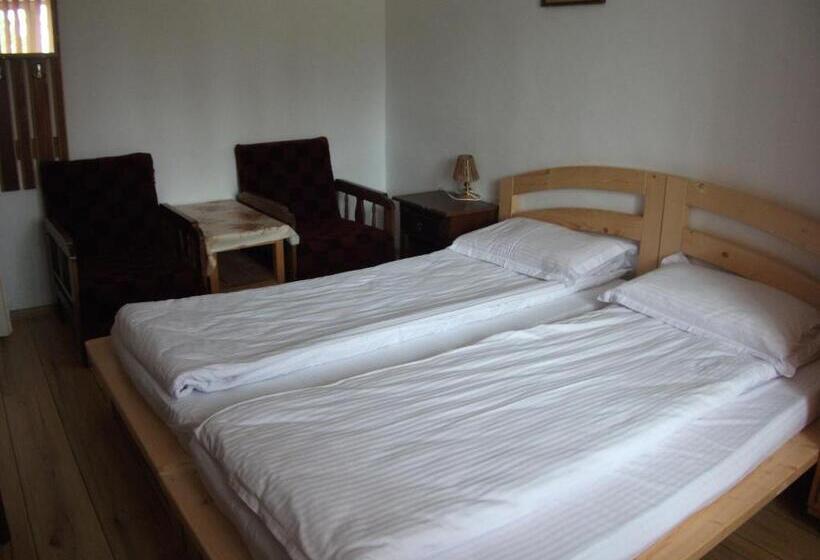 Пансион Vila Sport Borsec