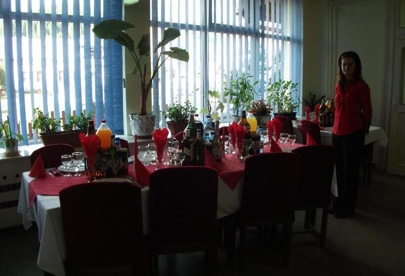 Пансион Vila Sport Borsec