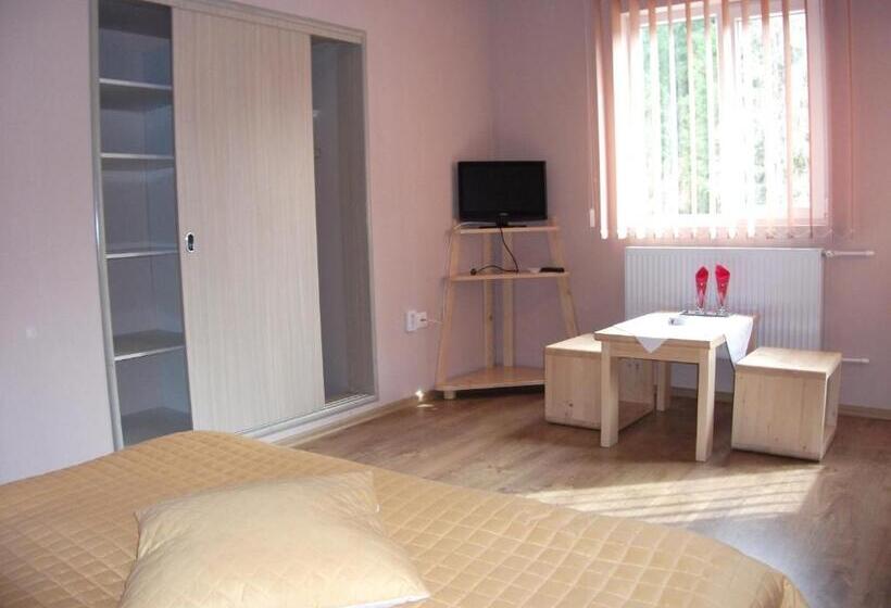 Пансион Vila Sport Borsec