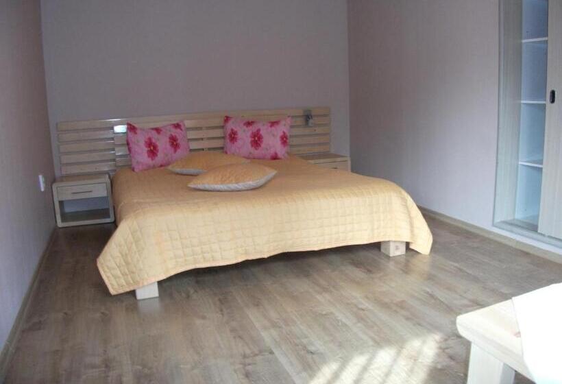 Пансион Vila Sport Borsec