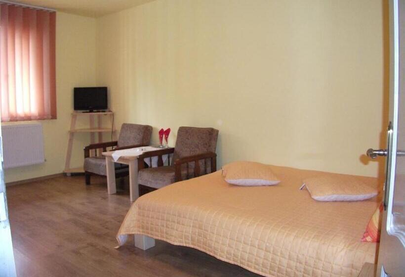 Пансион Vila Sport Borsec