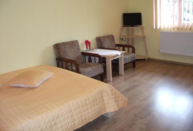 Пансион Vila Sport Borsec