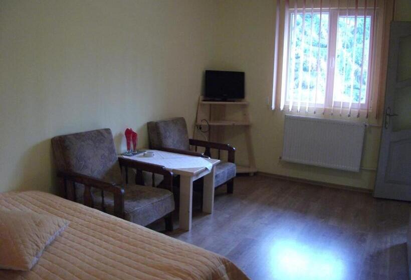 Пансион Vila Sport Borsec