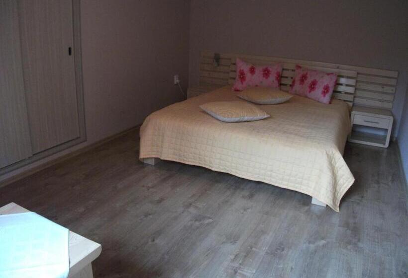 Пансион Vila Sport Borsec