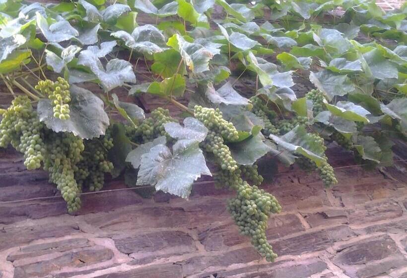 بنسيون Weingut Gästehaus Karl Otto Nalbach