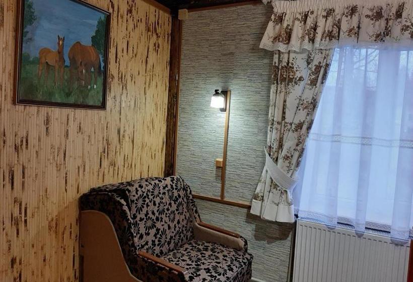 פנסיון Zatyshok