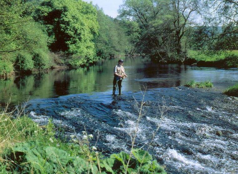 Пансион Zur Krone