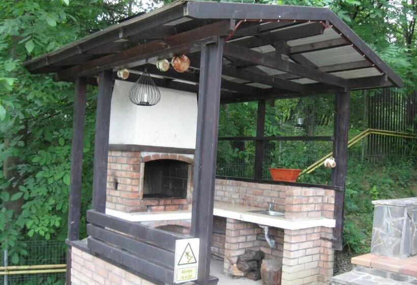 Pensiunea Comarnic Moisa