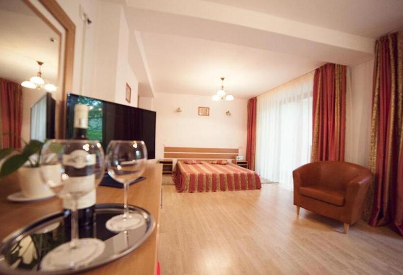 Pensiunea Comarnic Moisa