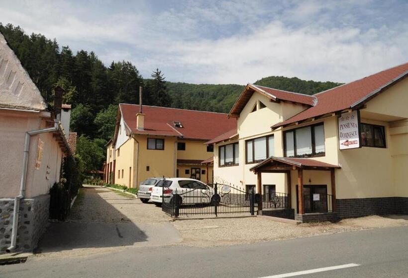 Pensiunea Domnescu