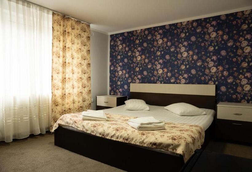 Pensiunea Lido Moisei