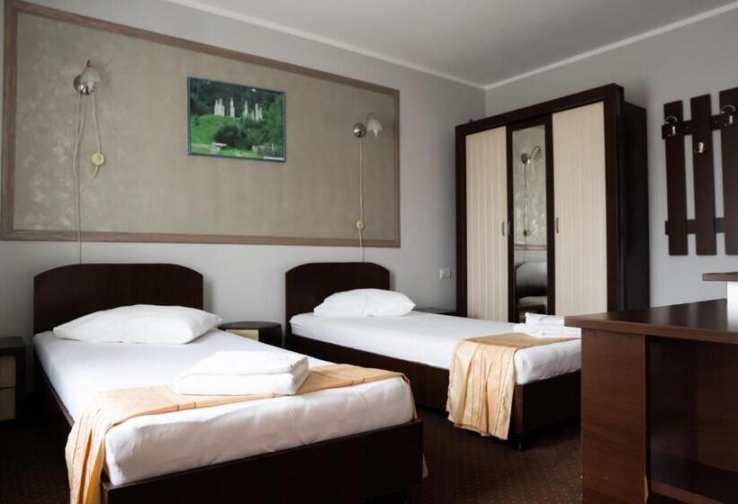 Pensiunea Lido Moisei