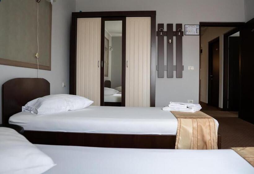 Pensiunea Lido Moisei