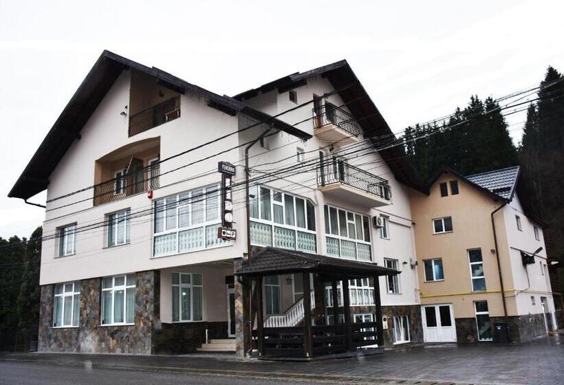 Pensiunea Lido Moisei