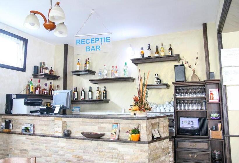 Pensiunea Lido Moisei