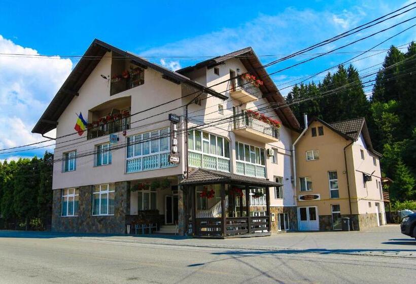 Pensiunea Lido Moisei
