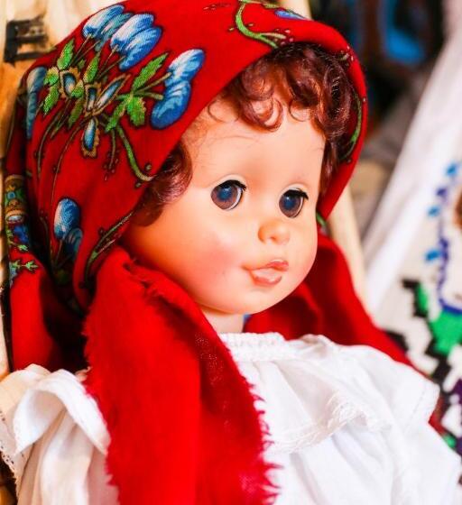 Pensiunea Lido Moisei