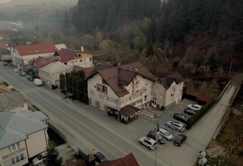 Pensiunea Lido Moisei