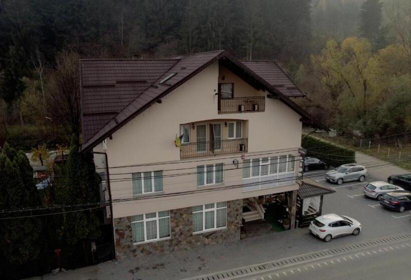 Pensiunea Lido Moisei