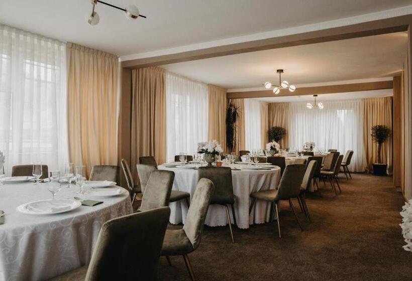 Pensiunea Lido Moisei