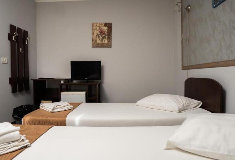 Pensiunea Lido Moisei